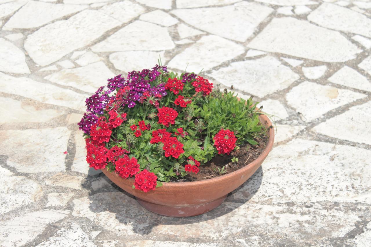 Tenuta Turchi Otranto Bagian luar foto